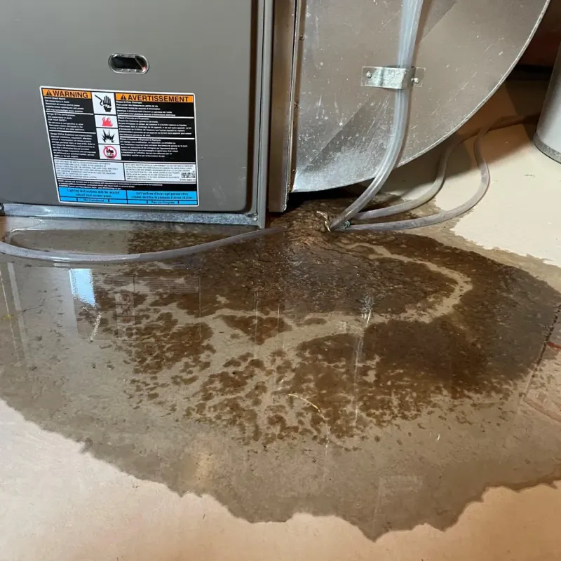 Appliance Leak Cleanup in Royersford, PA